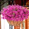 12“ Hanging Basket with Faux UV Resistant Silk Flowers, Realistic Fake Hanging Eucalyptus Plants